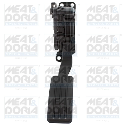 Accelerator Pedal Unit